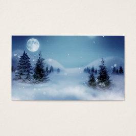 Winter Wonderland de noche