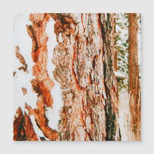 Winter Wonderland en Bend - Oregón