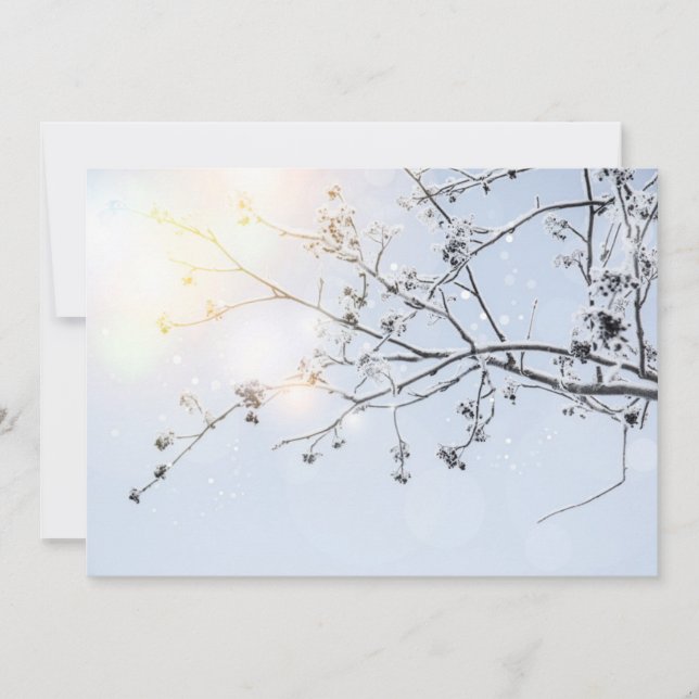 Winter Wonderland por Uname_ (Anverso)