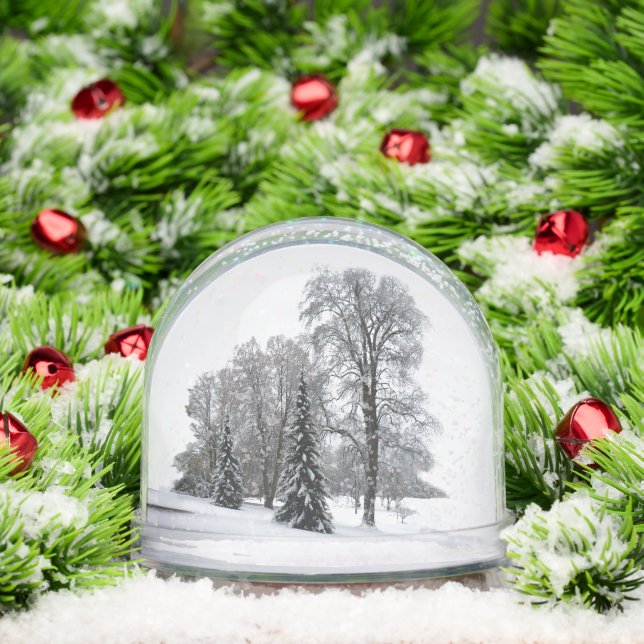 Winter Wonderland Snow Globe Snow Forest Snowglobe (Navidad)