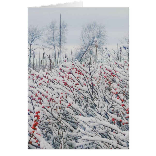 winterberry y cattails (Frente)