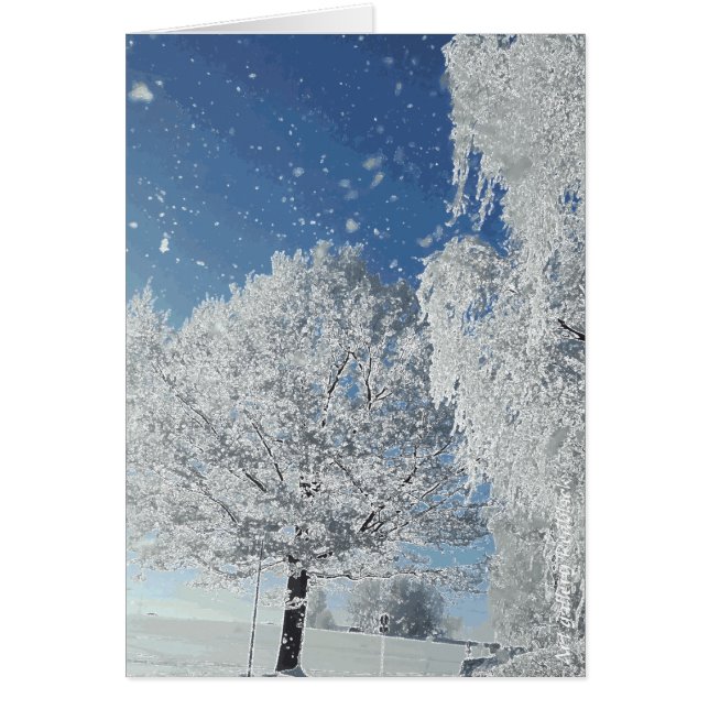 Wintertraum Winterland Schnee Baum (Frente)