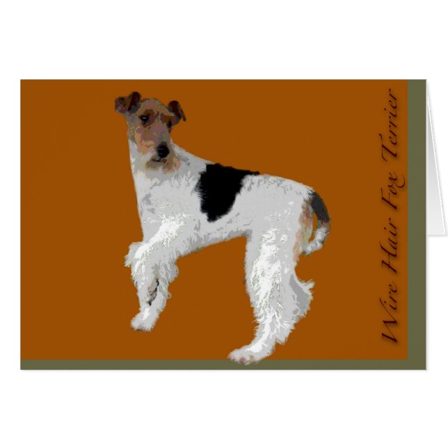 Wire Hair Fox Terrier (Anverso (Horizontal))