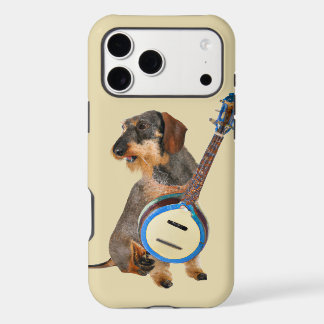 Wirehair Dachshund jugando banjo