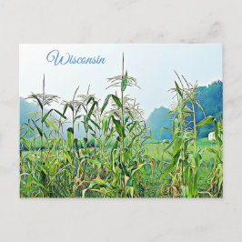 Wisconsin Corn Stalks Postal Fotográfica Medio Oes