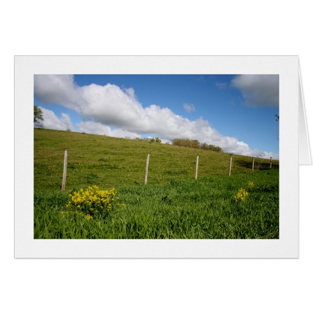 Wisconsin Farmland (Anverso (Horizontal))