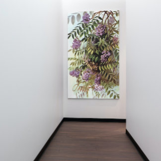 Wisteria Frutescens Pintura de arte botánico