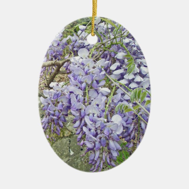 Wisteria Ornamento Purple de Navidad (Frente)