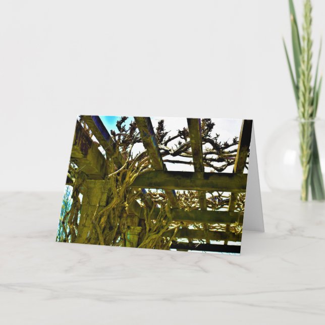 Wisteria, tarjeta (Anverso)