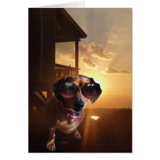 Woah, ese sol es brillante dijo Baxter.