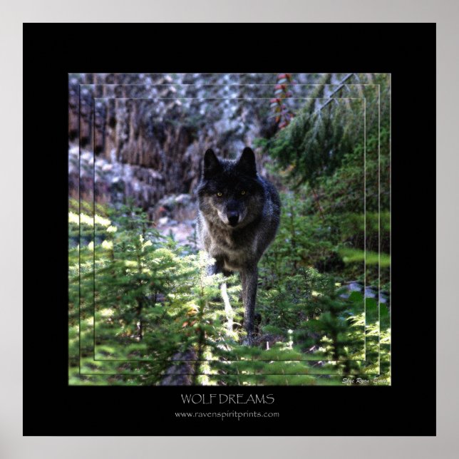 WOLF DREAMS Poster de Arte (Frente)