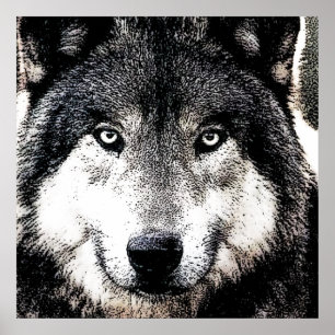Wolf Eyes - Arte de animal salvaje en blanco y neg