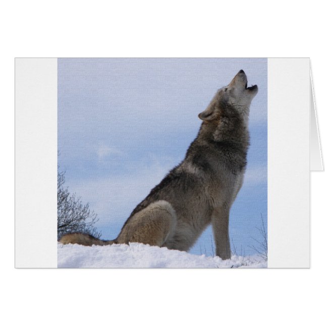 Wolf Howl (Anverso (Horizontal))