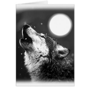 Wolf Howling en la Luna