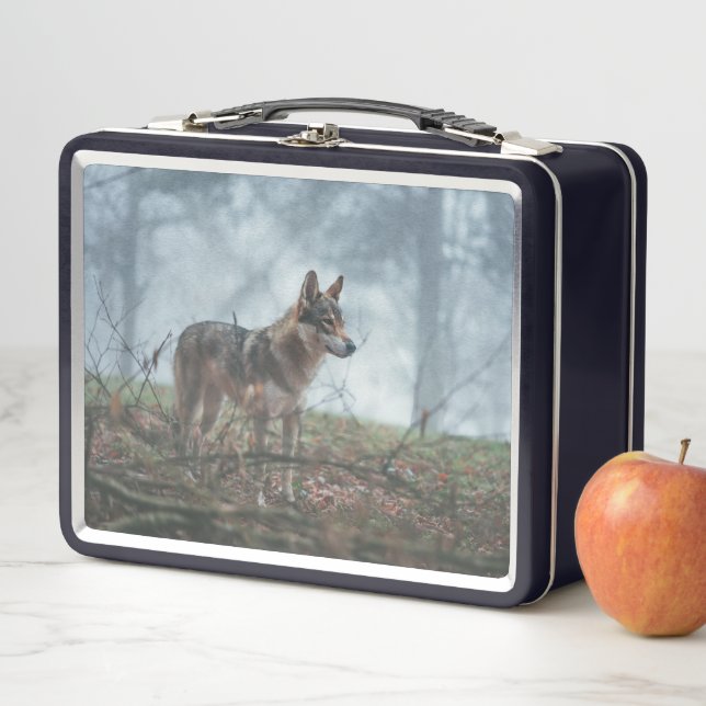 Wolfdog (In situ)