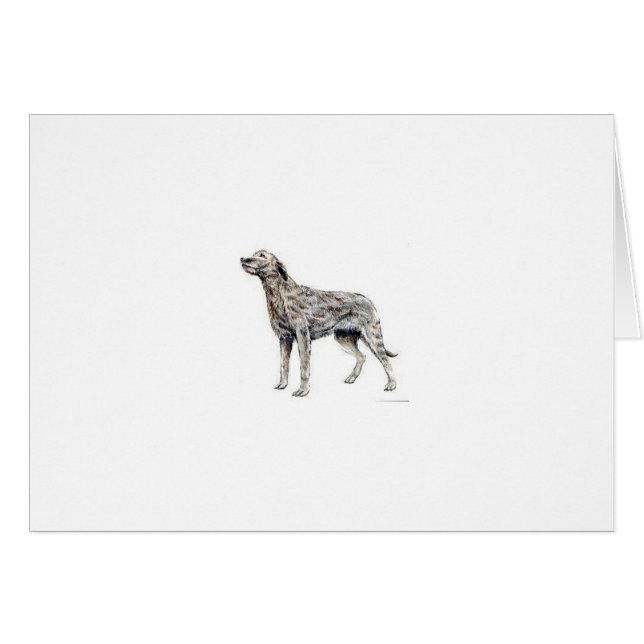 Wolfhound irlandés (Anverso (Horizontal))