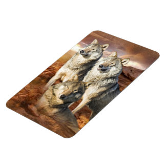 Wolves Trio imán premium 4x6
