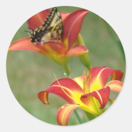 Wonders Beyond Pegatina