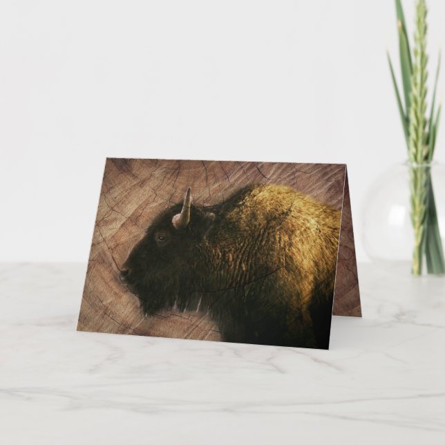 Wood Bison Buffalo (Anverso)