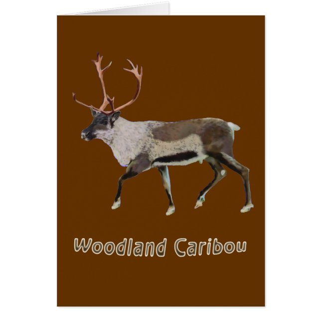 Woodland Caribou (Frente)