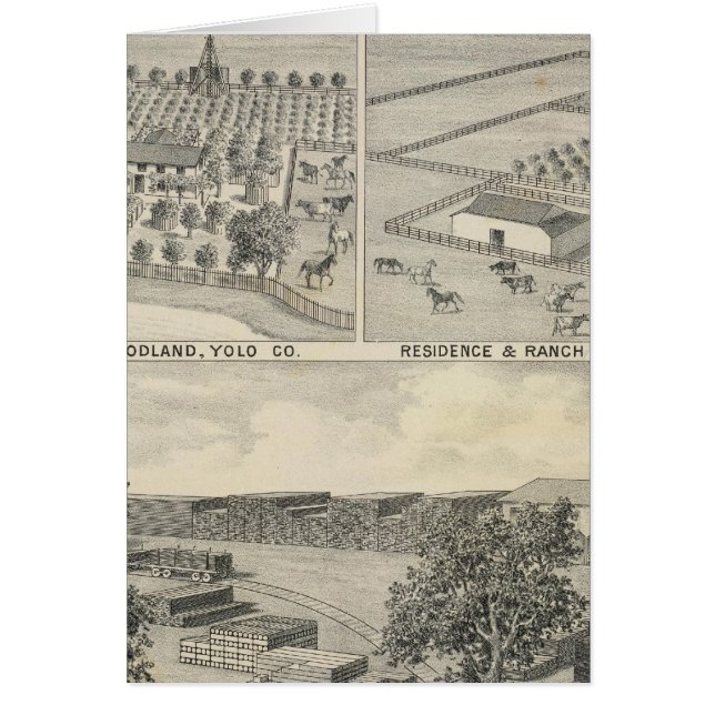 Woodland lumber Company (Frente)