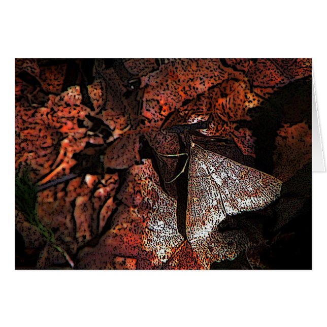 Woodland Moth (Anverso (Horizontal))