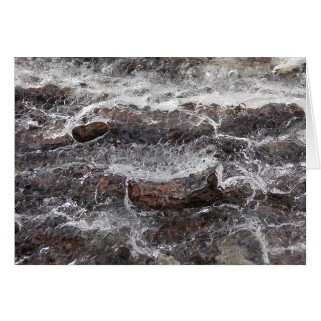 Woodness II (Anverso (Horizontal))