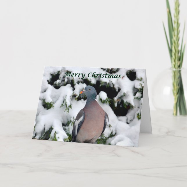 woodpigeon en tarjeta de Navidad de la nieve (Anverso)