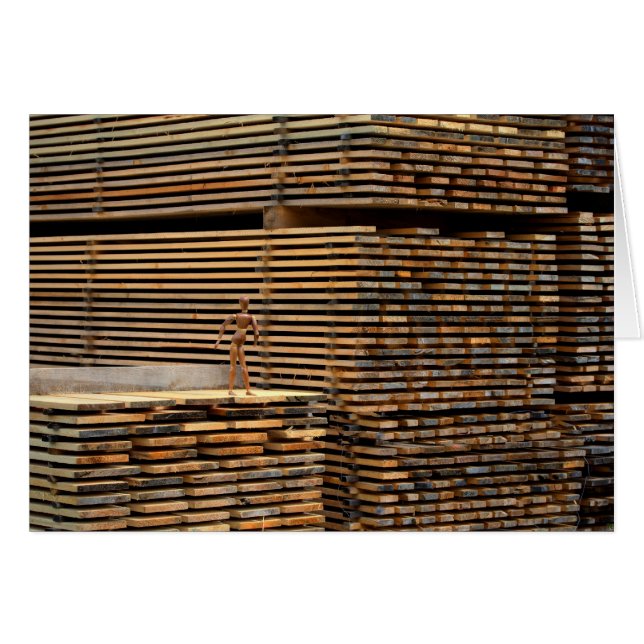 Woody De Vuelta A Las Raíces (Anverso (Horizontal))