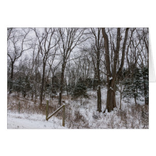 Woody Snow Day