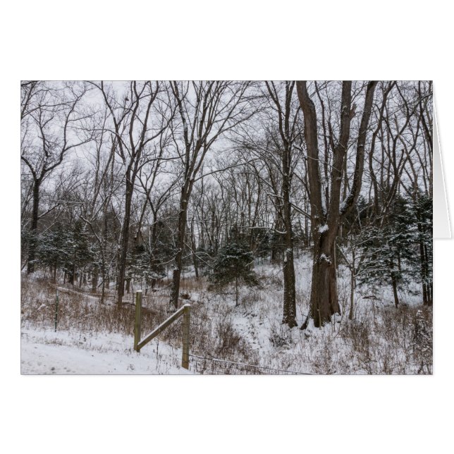 Woody Snow Day (Anverso (Horizontal))