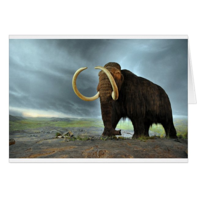 Wooly Mammoth Mod Destiny (Anverso (Horizontal))
