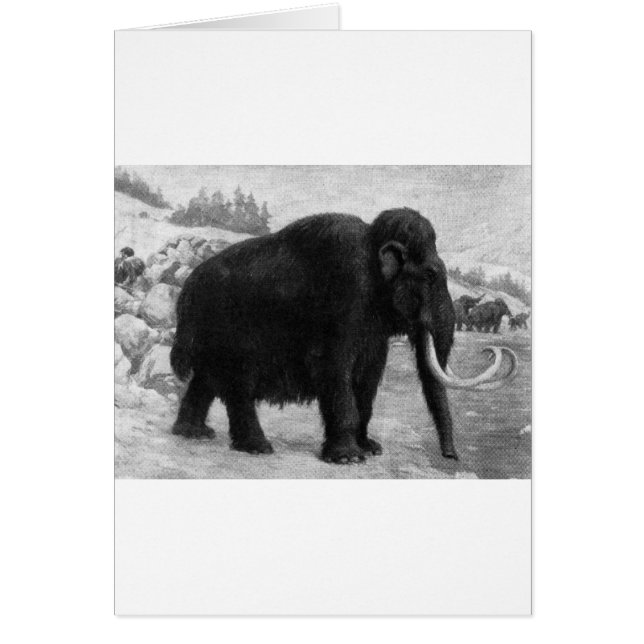 Wooly Mammoth Mod Destiny (Frente)
