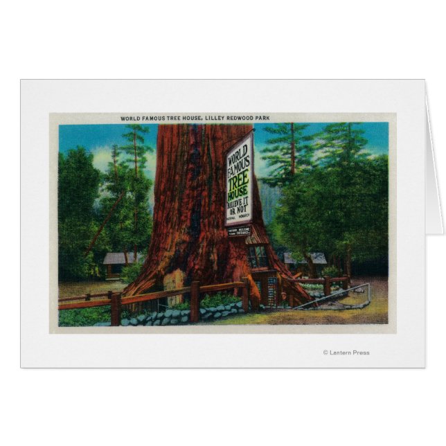 World Famous Tree House, Parque Lilley Redwood (Anverso (Horizontal))