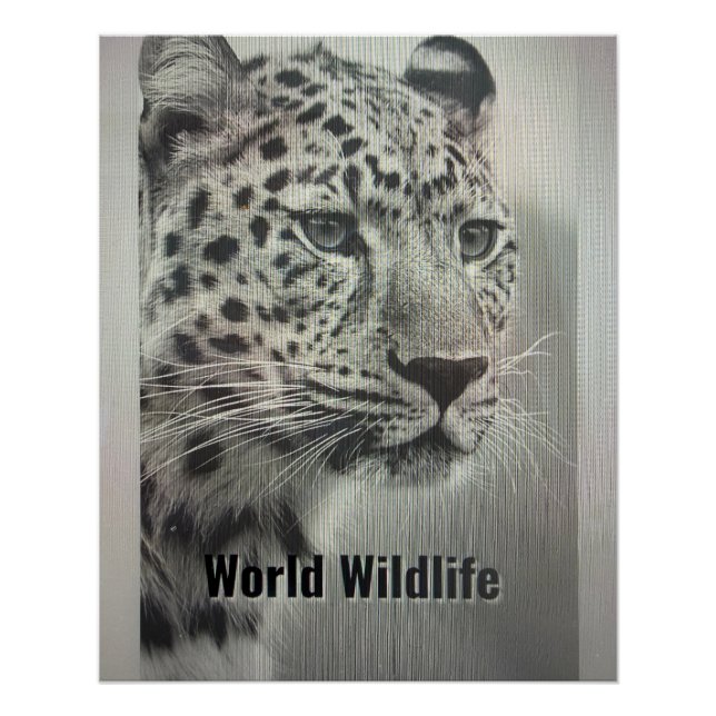 WORLD WILDLIFE POSTER (Anverso)