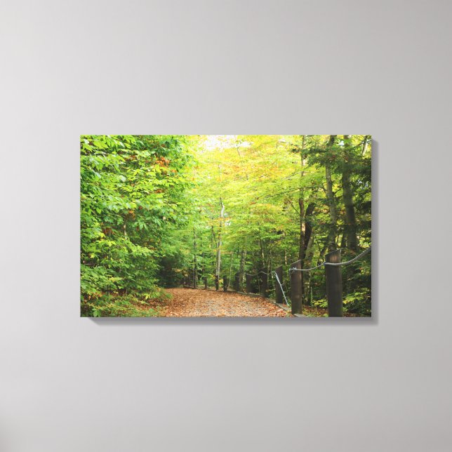 Wraps de lienzo de Woods (Anverso)