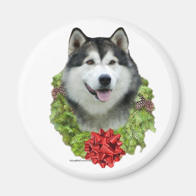 Wreath de Malamute de Alaskan - imán (Frente)