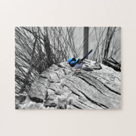 Wren azul de hadas del rompecabezas - 250 pedazos