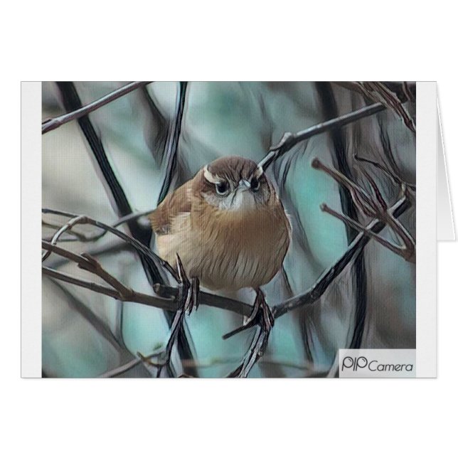 Wren de casa (Anverso (Horizontal))