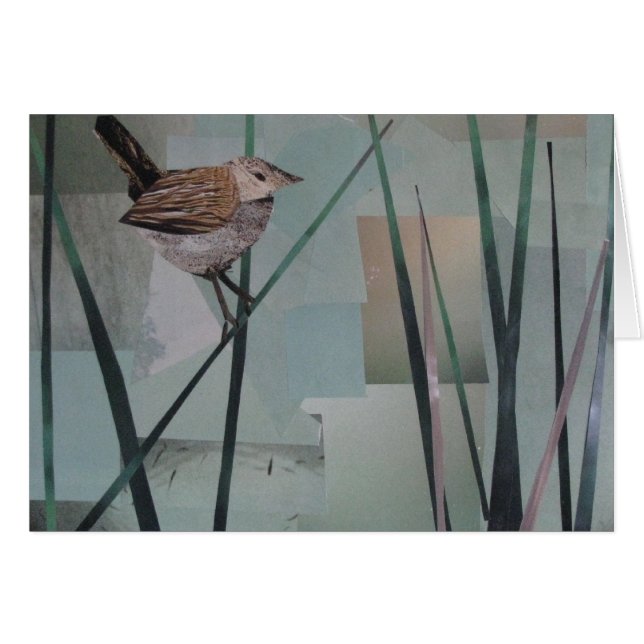 Wren de pantano (Anverso (Horizontal))