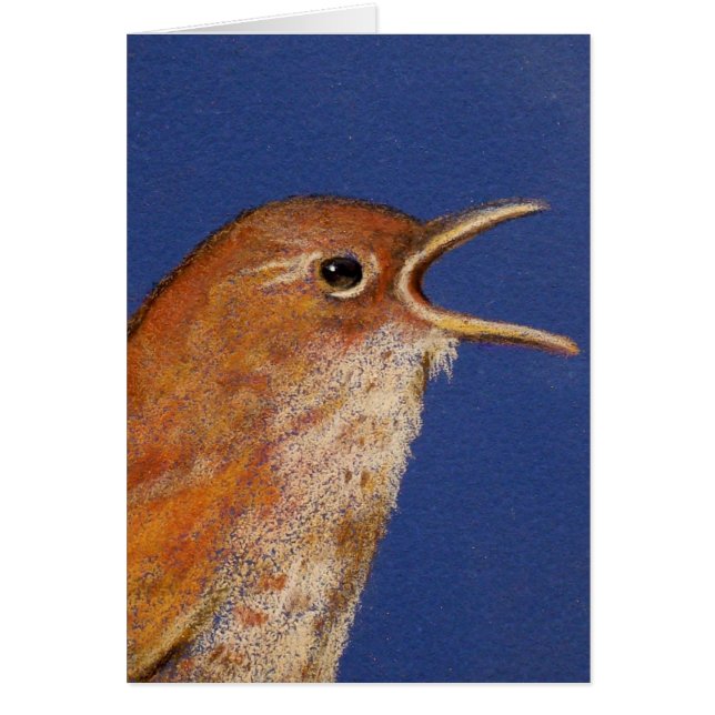 WREN DEL CANTO (Frente)
