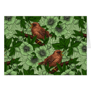 Wren y hellebore, verde claro