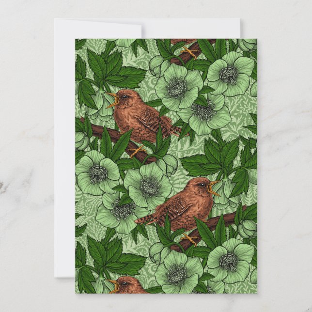 Wren y hellebore, verde claro (Anverso)