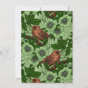 Wren y hellebore, verde claro