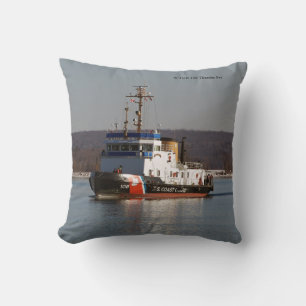 WTGB 108 almohada cuadrada de Thunder Bay