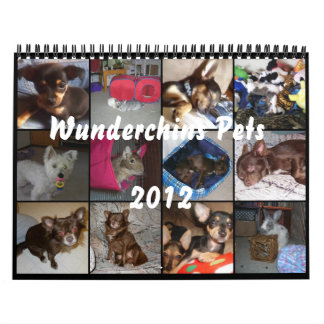 Wunderchins acaricia el calendario 2012