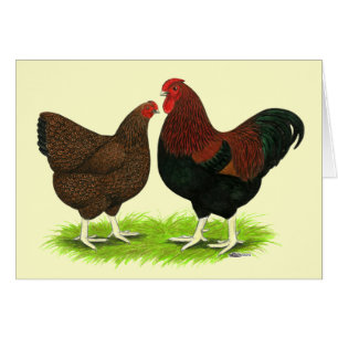 Wyandotte: Parroquia de Partridge