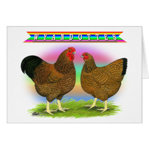 Wyandottes: Arcoiris lacado de oro
