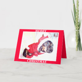 X TARJETAS DE NAVIDADES MAS - HEIDI PUP - DASCHUND