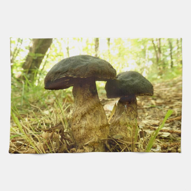 Xerocomus pruinatus Toalla de té hongo (Horizontal)
